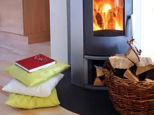 6 types de bois à ne pas brûler dans sa cheminée